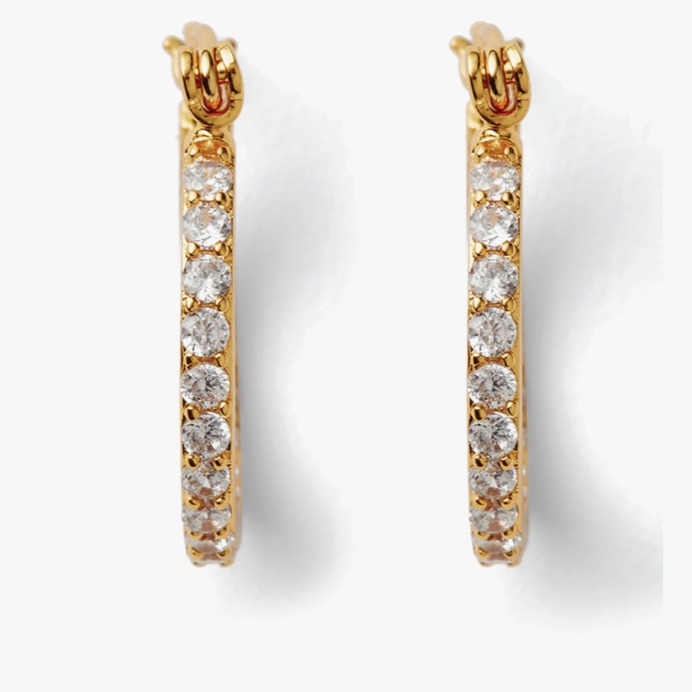 NWT Crystal Haze Gold Plated Mini Serena Hoops Cubic Zirconia Earrings
